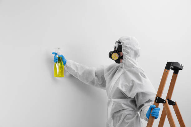 Why You Should Choose Our Mold Remediation Services in Pottsville, PA